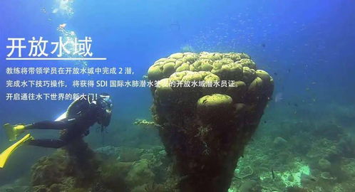 逐浪八閩 海藍時見鯨，一年四季的潛水詩篇